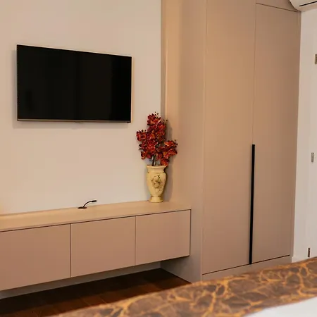 Luxury Apartment